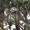 View the image: OLYMPUS DIGITAL CAMERA