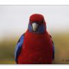 View the image: OLYMPUS DIGITAL CAMERA