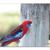 View the image: OLYMPUS DIGITAL CAMERA