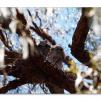View the image: Olympus E-30