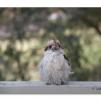 View the image: Olympus E-30