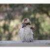 View the image: Olympus E-30