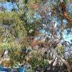 View the image: IMG_20230721_124815-49