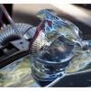 View the image: Beaumaris Concourse car show 13 Feb 2022