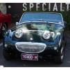 View the image: Beaumaris Concourse car show 13 Feb 2022