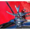 View the image: Beaumaris Concourse car show 13 Feb 2022