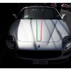 View the image: Beaumaris Concourse Car Show 12 Feb 2023