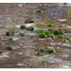View the image: Olympus OM-D E-M1 MkII MILC