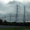 View the image: OLYMPUS DIGITAL CAMERA