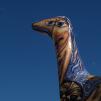 View the image: OLYMPUS E-1