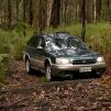 View the image: Bunyip SP 11Jan12_421_Ew