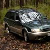 View the image: Bunyip SP 11Jan12_423_Ew