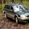 View the image: Bunyip SP 11Jan12_424_Ew