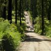 View the image: Bunyip SP 11Jan12_427_Ew