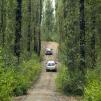 View the image: Bunyip SP 11Jan12_428_Ew