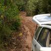 View the image: Bunyip SP 11Jan12_438_Ew