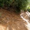 View the image: Bunyip SP 11Jan12_439_Ew