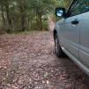 View the image: OLYMPUS DIGITAL CAMERA
