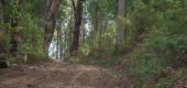 View the Album: halifax_road
 12 images