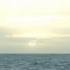View the image: OLYMPUS DIGITAL CAMERA