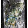 View the image: Otway Fly canopy and forest floor walk