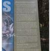 View the image: Otway Fly canopy and forest floor walk