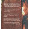 View the image: Otway Fly canopy and forest floor walk