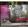 View the image: Otway Fly canopy and forest floor walk