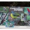 View the image: Otway Fly canopy and forest floor walk