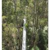 View the image: Otway Fly canopy and forest floor walk