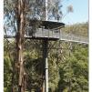 View the image: Otway Fly canopy and forest floor walk