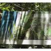 View the image: Otway Fly canopy and forest floor walk