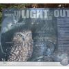 View the image: Otway Fly canopy and forest floor walk