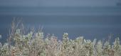 View the Album: Natural_Environment
 8 images