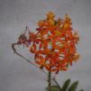 View the image: OLYMPUS DIGITAL CAMERA