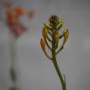 View the image: OLYMPUS DIGITAL CAMERA