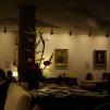 View the image: OLYMPUS DIGITAL CAMERA