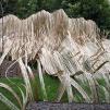 View the image: OLYMPUS DIGITAL CAMERA