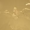 View the image: OLYMPUS DIGITAL CAMERA