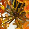View the image: OLYMPUS DIGITAL CAMERA