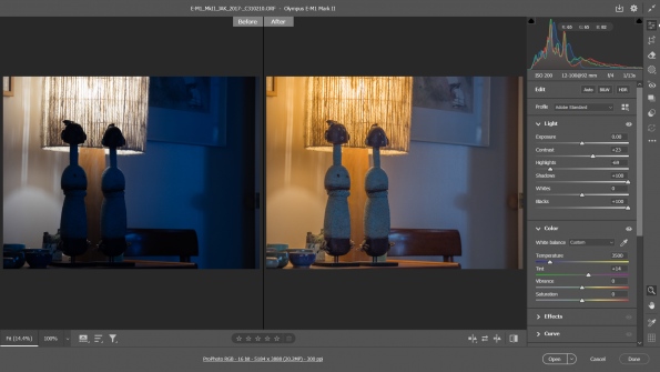 Shadow_Recovery_Screenshot