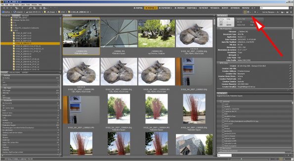 Bridge screen shot
