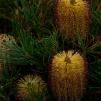 View the image: OLYMPUS DIGITAL CAMERA