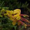 View the image: OLYMPUS DIGITAL CAMERA