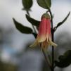 View the image: OLYMPUS DIGITAL CAMERA