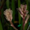 View the image: OLYMPUS DIGITAL CAMERA