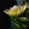 View the image: IMG_20250522_144337-199