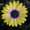 View the image: _M115604-66