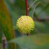 View the image: _M210339-151