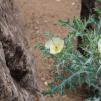 View the image: OLYMPUS DIGITAL CAMERA